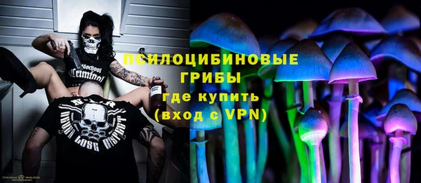 соль курить ск Бородино