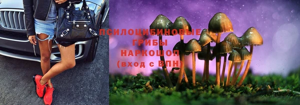 соль курить ск Бородино