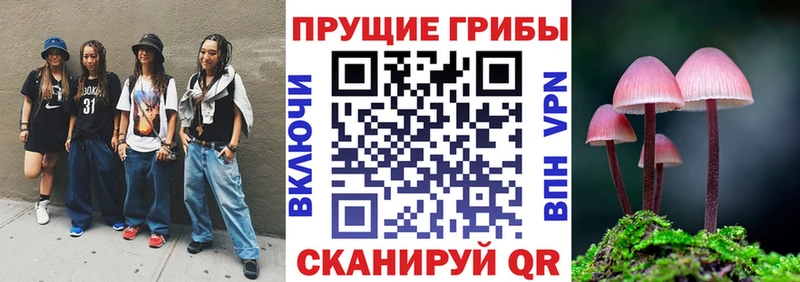 магазин  наркотиков  Новосокольники  блэк спрут ТОР  Галлюциногенные грибы мухоморы 